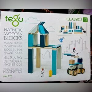 Tegu magnetic block set